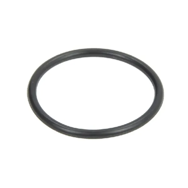 Element pumpe goriva BOSCH 2 440 210 026