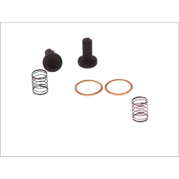 Filter goriva BOSCH 2 447 010 011