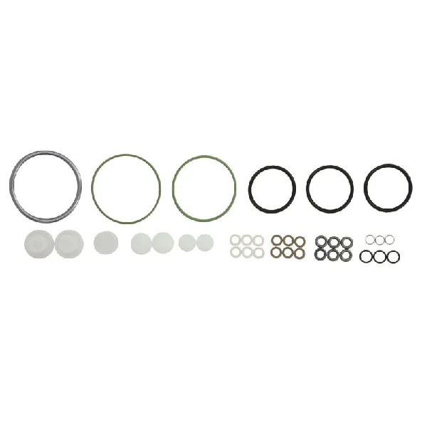 Set za popravku, pumpa za gorivo BOSCH F 01M 101 456