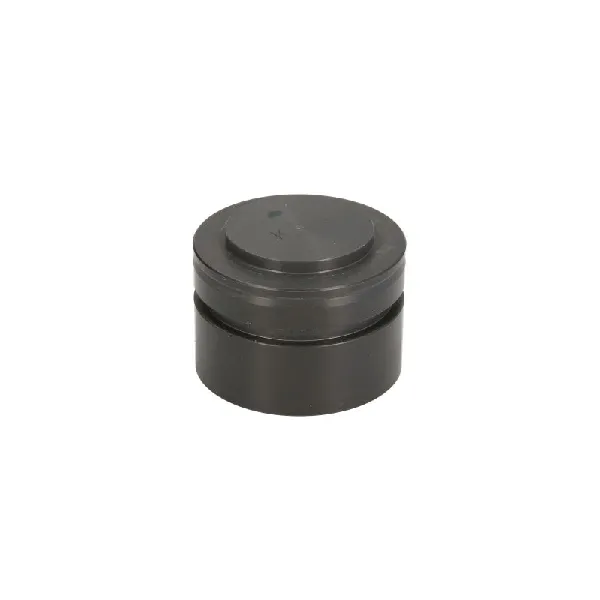 Ventil, sistem za pumpanje goriva BOSCH 1 460 521 303