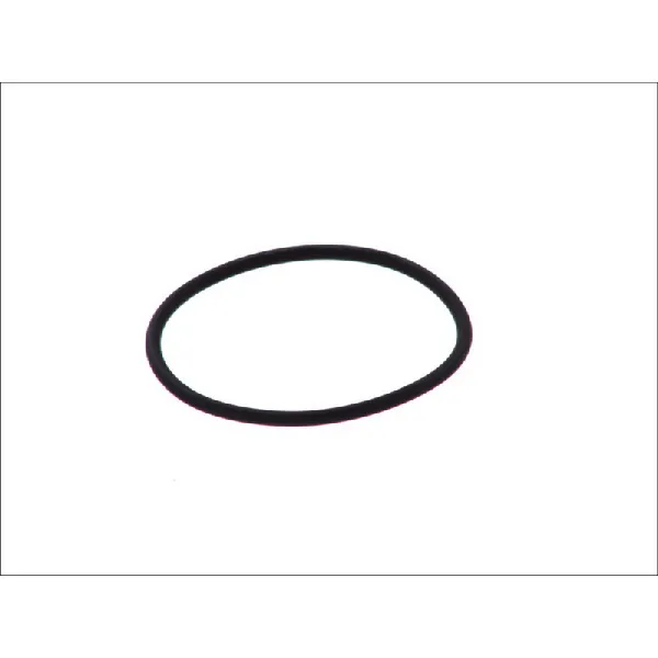 Zaptivni prsten BOSCH F 00H N35 932