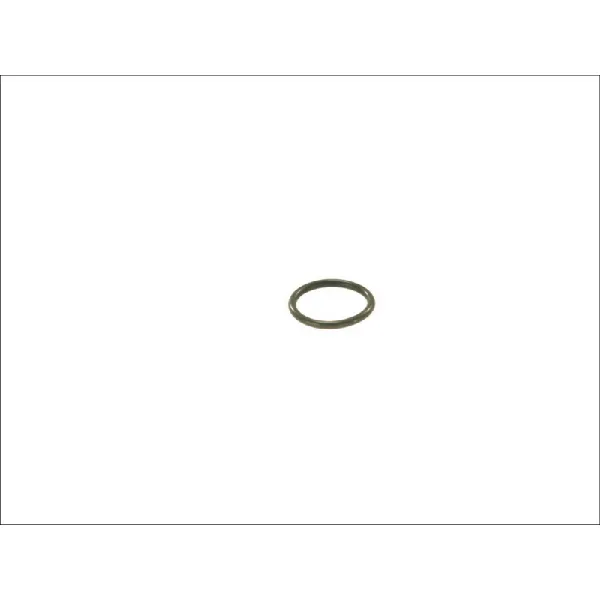 Zaptivni prsten BOSCH F 00N 200 048K