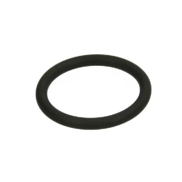 Zaptivni prsten BOSCH F 00R J01 452