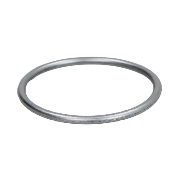 Zaptivni prsten BOSCH F 01M 100 114